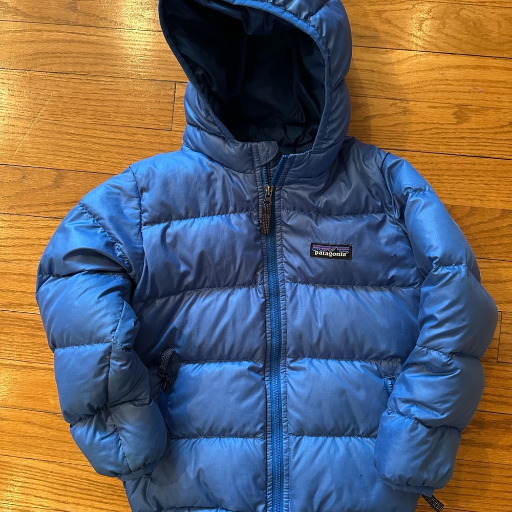 Patagonia Blue Puffer Jacket